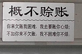 丹寨专业催债公司的市场需求和前景分析